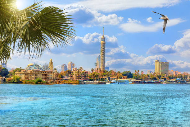 The Cairo tower, beautiful view from the Nile river, Egypt The Cairo tower, beautiful view from the Nile river, Egypt. embankment photos stock pictures, royalty-free photos & images