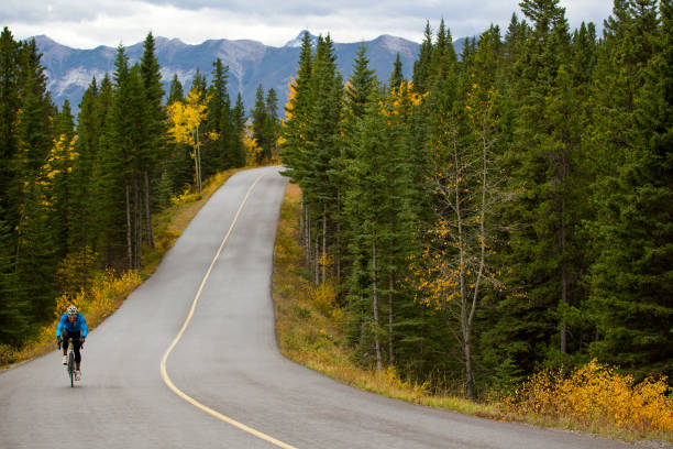 istock Banff Road Bicycle Rider 1147817408