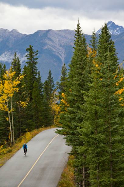 istock Banff Road Bicycle Rider 1147817456