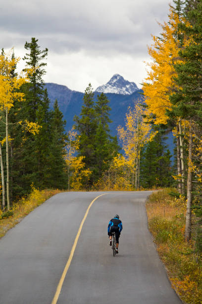 istock Banff Road Bicycle Rider 1147817551