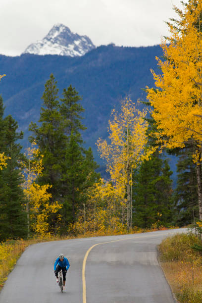 istock Banff Road Bicycle Rider 1147817572