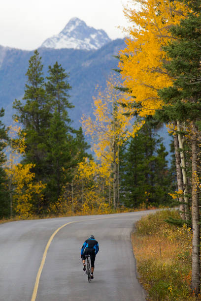istock Banff Road Bicycle Rider 1147817630
