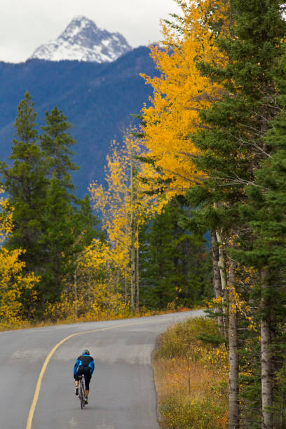istock Banff Road Bicycle Rider 1147817632