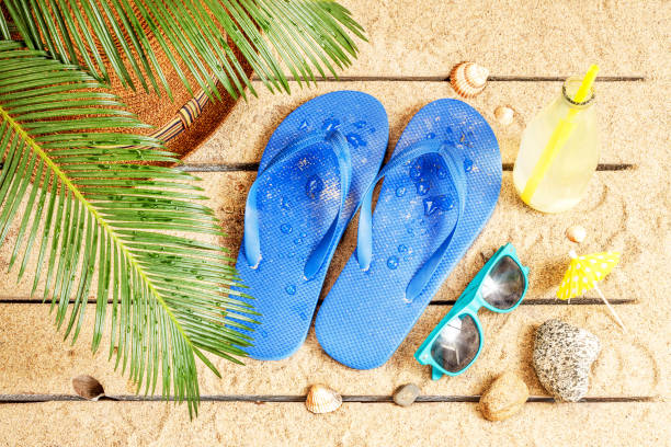 istock Beach, palm tree leaves, sand, sunglasses and flip flops 1147817766
