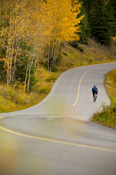 istock Banff Road Bicycle Rider 1147817807