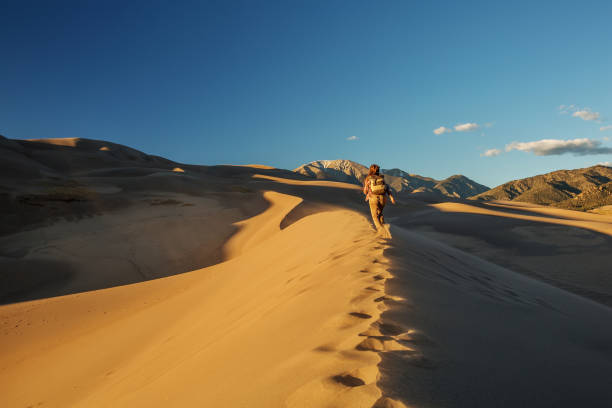 istock A tourist traveled through the desert 1147828869