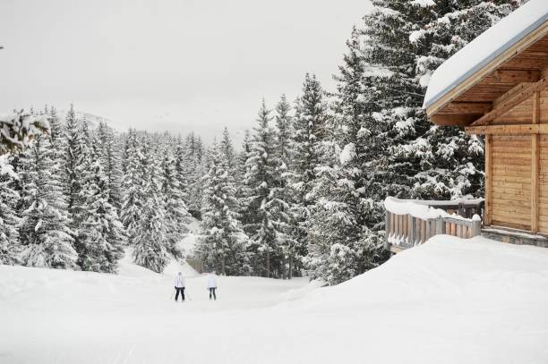istock Skiing people in ski resort 1147828926