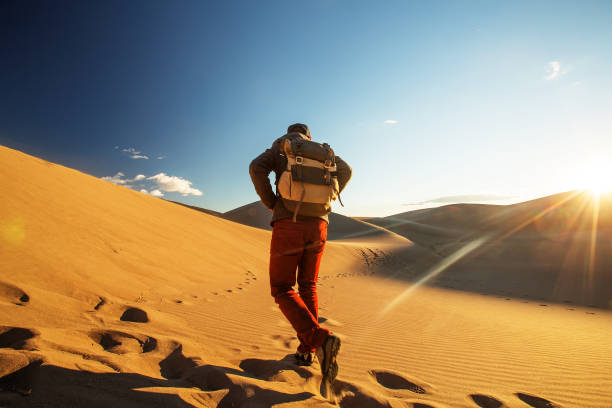 istock A tourist traveled through the desert 1147828985