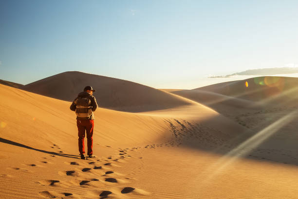 istock A tourist traveled through the desert 1147828995