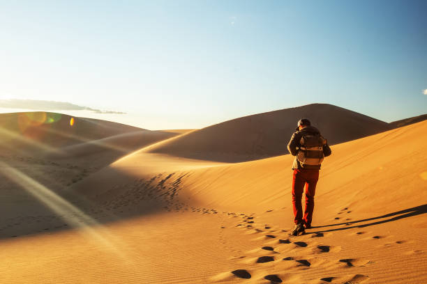 istock A tourist traveled through the desert 1147828997