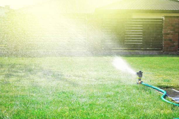 istock Automatic sprinkler sprays water over green grass 1147833487