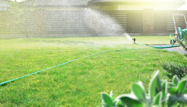 istock Automatic sprinkler sprays water over green grass 1147833489