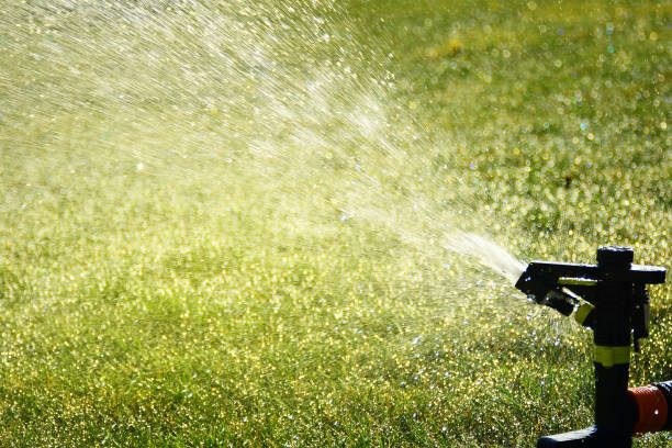 istock Automatic sprinkler sprays water over green grass 1147833546