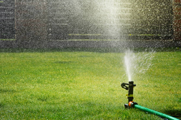 istock Automatic sprinkler sprays water over green grass 1147833554