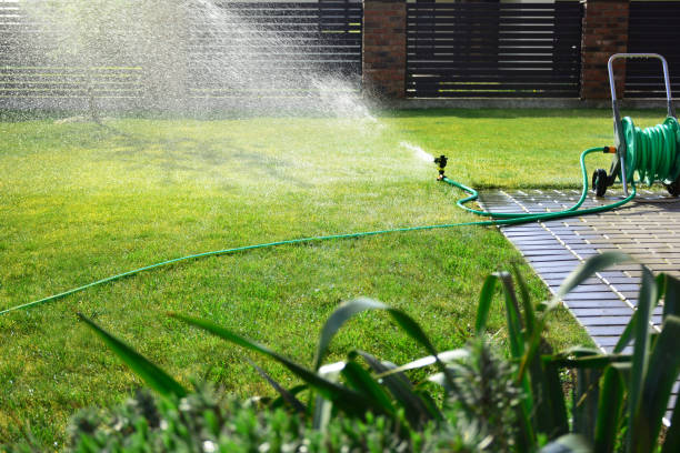 istock Automatic sprinkler sprays water over green grass 1147833570