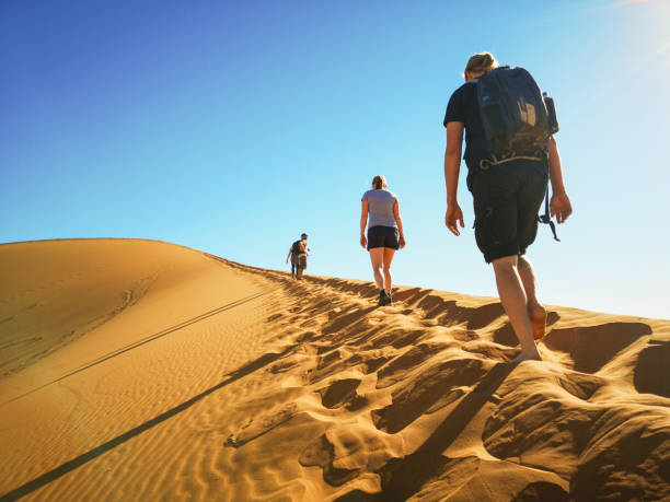 grupo de turistas que escalam a duna de areia elevada na área namíbia de sossusvlei - group of people journey effort travel destinations - fotografias e filmes do acervo