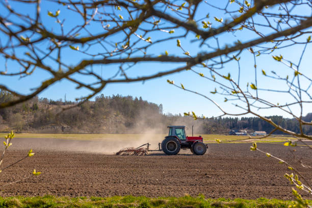 frühjahrswlandwirtschaftliche - green crop tractor planting stock-fotos und bilder