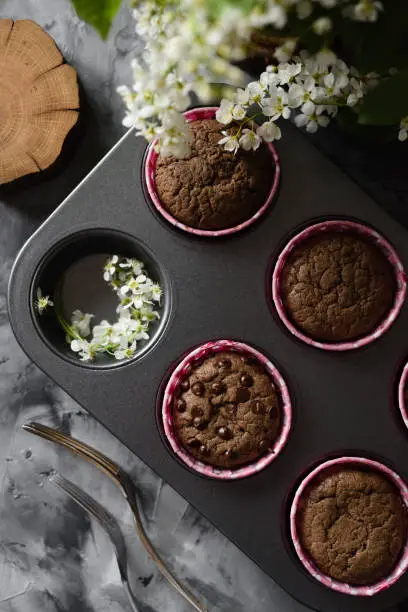 Tasty homemade chocolate muffins and small white flowers of bird cherry on dark background top view copy space