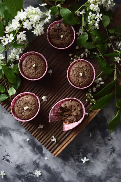 Yummy chocolate muffins and bird cherry flowers on dark oak board copy space