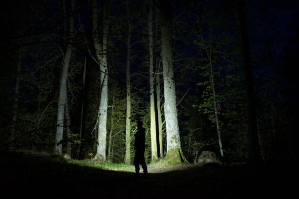 istock Man standing outdoor at dark night shining with flashlight 1147837358