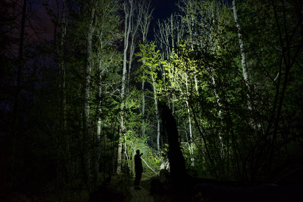 istock Man standing outdoor at dark night shining with flashlight 1147837408