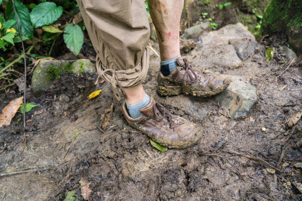 istock Tourist hiking in rainforest 1147839918