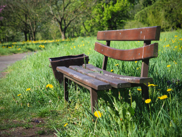 istock A lonely old bench and a trash can in a park on a sunny mid-day 1147843235