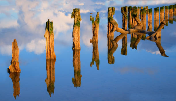 postes de madera viejos en agua reflectante - winchelsea fotografías e imágenes de stock