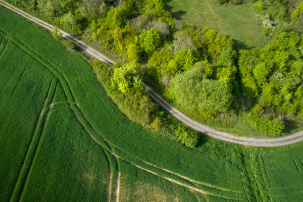 istock Agricultural area and forest - aerial view 1147845480