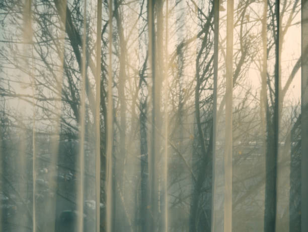 istock Curtain Window closeup from interior point of view at sunset 1147847125