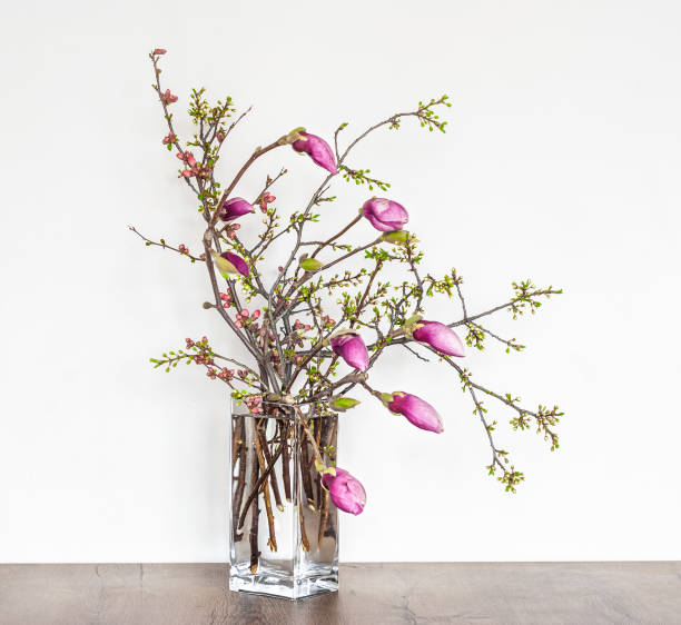 istock Beautiful Spring Floral Composition with Pink Magnolia. 1147847227