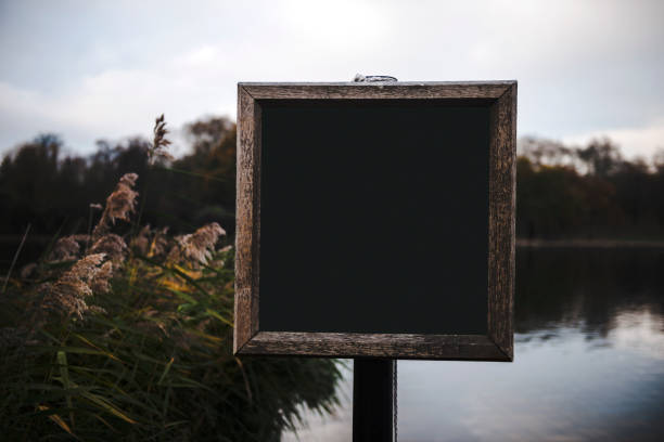 istock Blank placard to copy space in Hyde Park, London, UK 1147850925