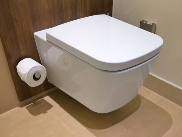 istock modern bathroom wc toilet paper 1147851031