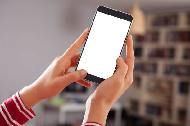 istock woman hand holding a smart phone 1147851902