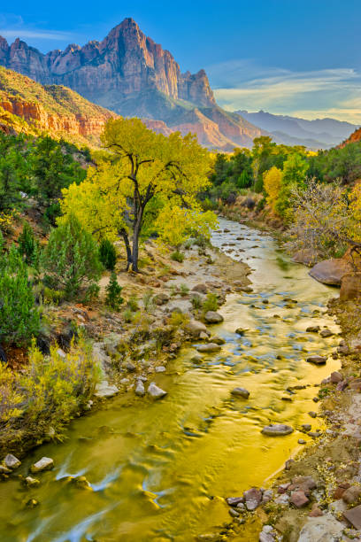Zion National Park in the state of Utah The Watchman feature and the Virgin River in Zion National Park virgin river stock pictures, royalty-free photos & images