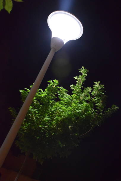 istock The lamp is lit in the park 1147853376