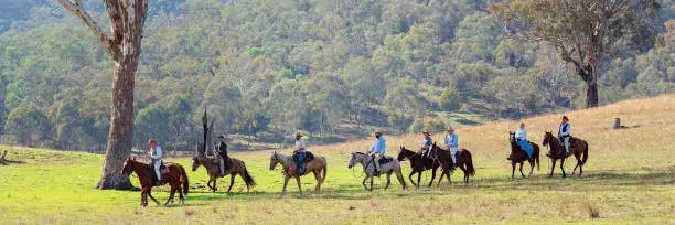 CORRYONG, VICTORIA, AUSTRALIA - APRIL 5TH 2019: The Man From Snowy River Bush Festival re-enactment, riders on horseback come down from out of the bush on 5th April 2019 during the re-enactment of Banjo Patterson's epic poem.