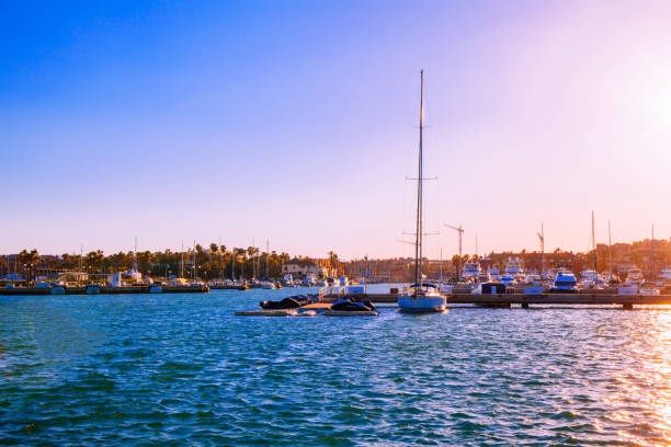 Harbor with many sailing ships under a clear sky over water. Wide angle shot. Summer. XXXL (Sony Alpha 7R)