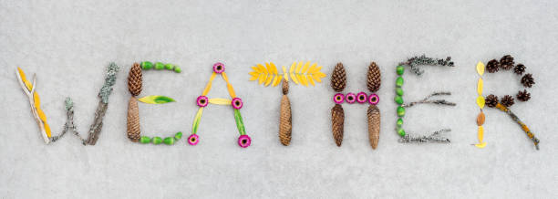 Weather written with leaves and flowers