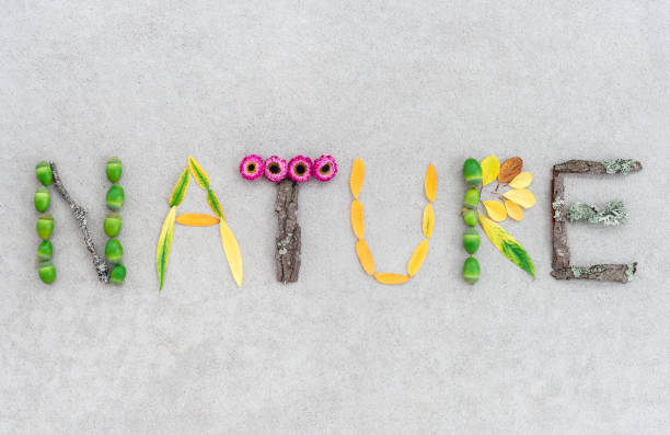 istock Nature written with leaves and flowers 1147865334