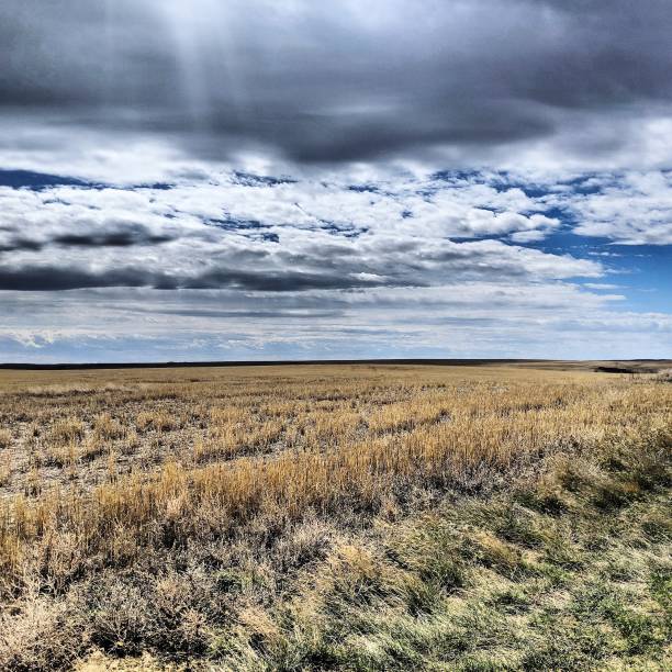 istock Prairie field and sky landscape 1147867006
