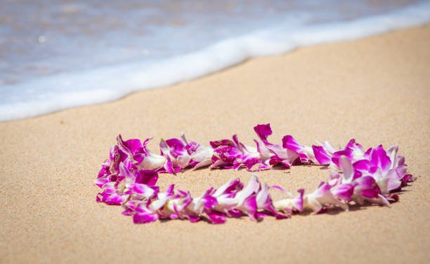 istock Orchid Lei on a beach in Maui 1147868978