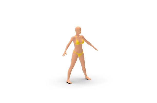 istock Woman Body Parts 3D Rendering 1147871701