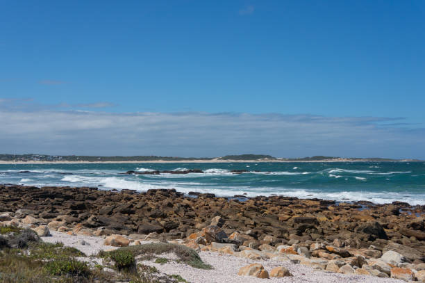 Ocean landscape with rocky shore, waves and clear sky. Summer landscape