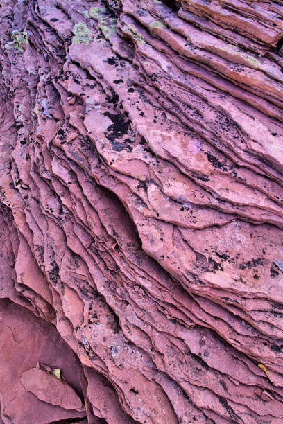 istock Dead Horse Point state park in Utah 1147877010