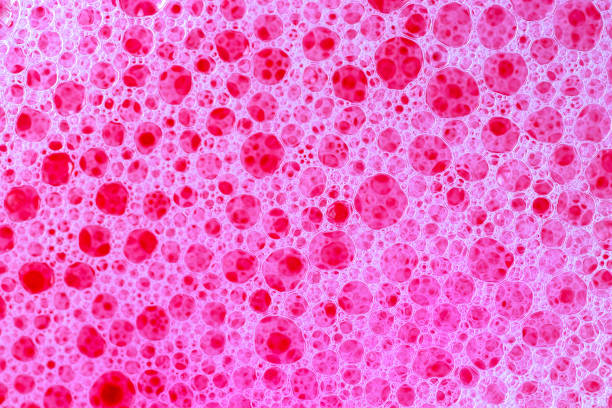 istock Pink foam and bubbles. Background texture. Close up view of soap suds with pink tone. 1147880310