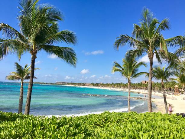 cancun widoki na plażę - 2781 zdjęcia i obrazy z banku zdjęć