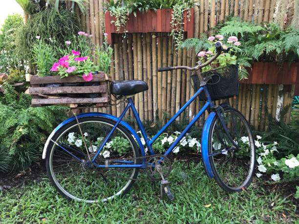 istock Blue vintage bicycle in garden 1147889918
