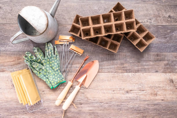 istock Small garden tools are ready for Spring planting season 1147891339