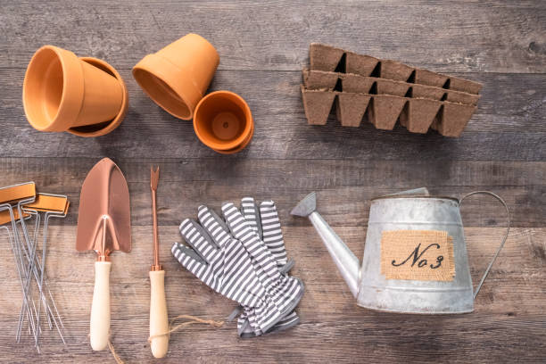istock Small garden tools are ready for Spring planting season 1147891393
